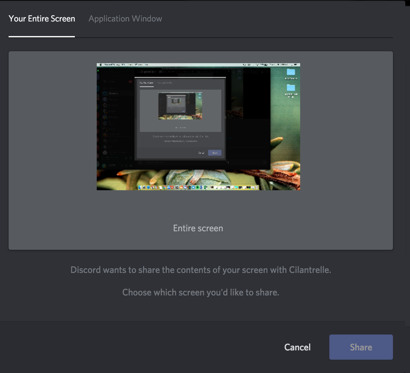 discord video chat using screen share