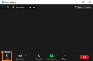 How to Mute Zoom Audio in Meeting? - Phone and PC