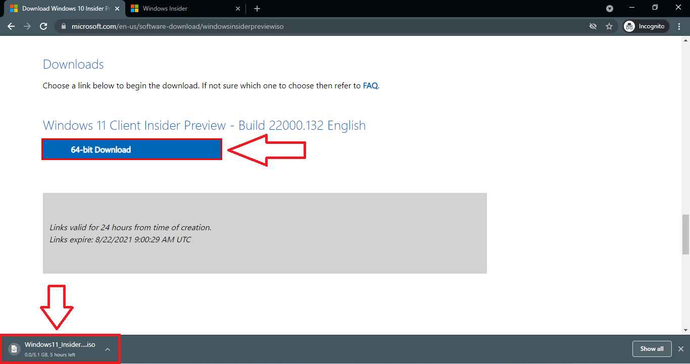 windows 11 insider preview download iso