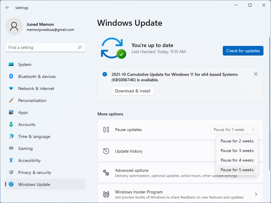 pause updates Windows 11