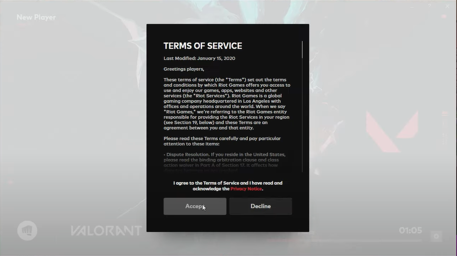 accept terms of service riot game account