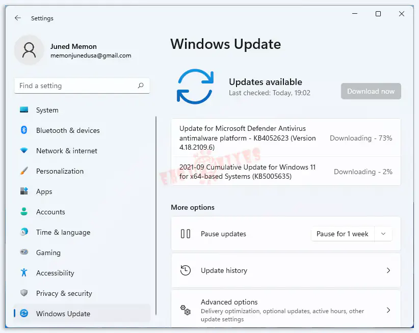 check for windows 11 updates 